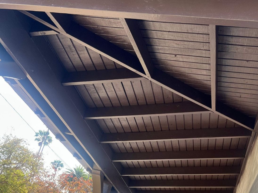 Stained fence and pergola